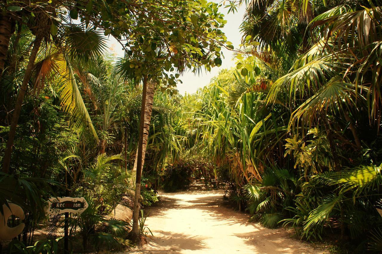 Cabanas La Luna Hotel Tulum Bagian luar foto